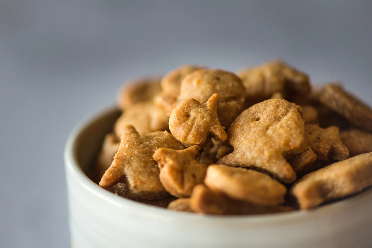 Goldfish treat ball sale